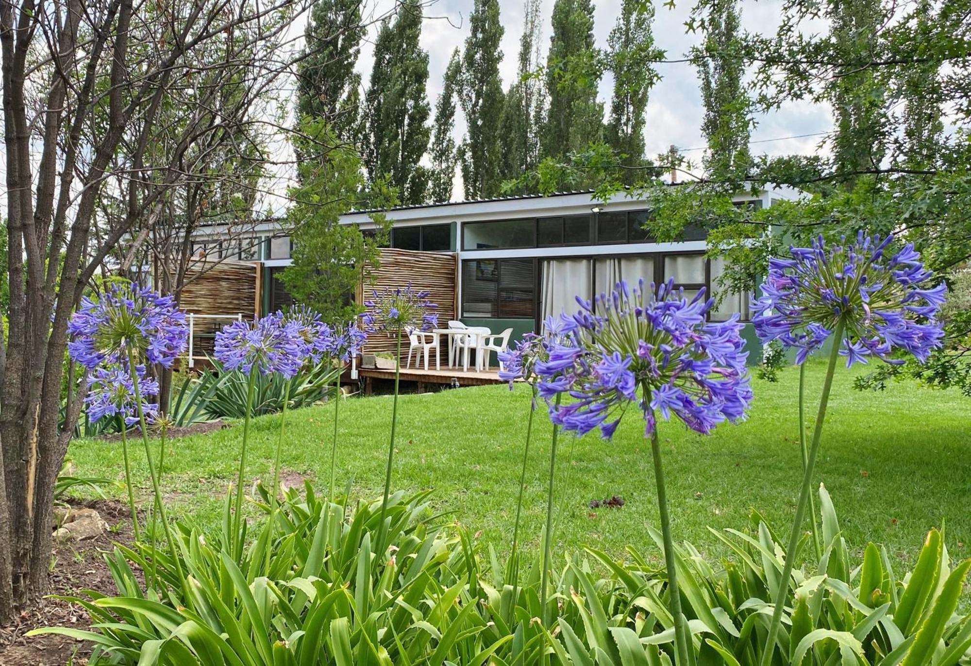 Collett House And Lavender Cottage Clarens Zewnętrze zdjęcie